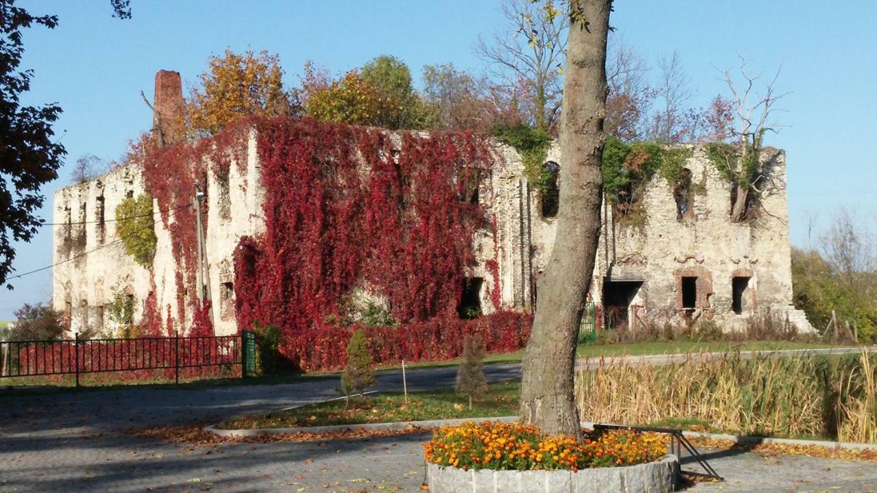 Palac Lucja Bb Zakrzów Extérieur photo