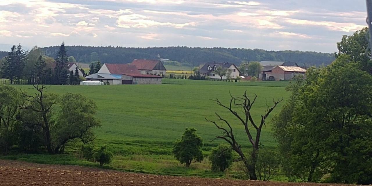 Palac Lucja Bb Zakrzów Extérieur photo